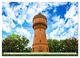 Thumbnail-3