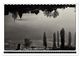 Thumbnail-11
