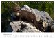 Thumbnail-11