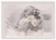 Thumbnail-8