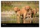 Thumbnail-8