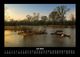 Thumbnail-11