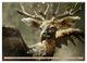 Thumbnail-8