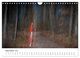 Thumbnail-11