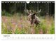 Thumbnail-10