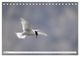 Thumbnail-10