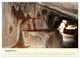 Thumbnail-14