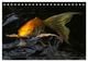 Thumbnail-8