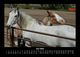 Thumbnail-10