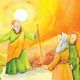 Thumbnail-2