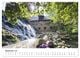 Thumbnail-11