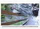 Thumbnail-12