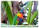 Thumbnail-11