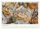 Thumbnail-11