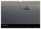 Thumbnail-14