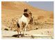 Thumbnail-9