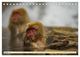 Thumbnail-14