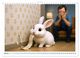 Thumbnail-9