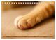 Thumbnail-9