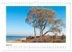 Thumbnail-11