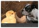 Thumbnail-9