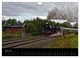 Thumbnail-8