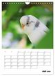 Thumbnail-12