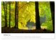 Thumbnail-12