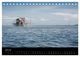 Thumbnail-12