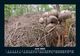 Thumbnail-10