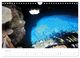 Thumbnail-10