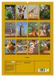 Thumbnail-4