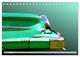 Thumbnail-7