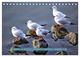 Thumbnail-10