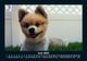 Thumbnail-10