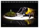 Thumbnail-9