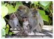 Thumbnail-14