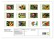 Thumbnail-4