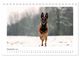 Thumbnail-14