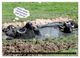 Thumbnail-13