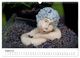 Thumbnail-10