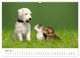 Thumbnail-10