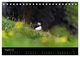 Thumbnail-13