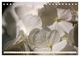Thumbnail-13
