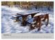 Thumbnail-14