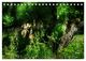 Thumbnail-8