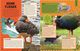 Thumbnail-8
