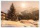 Thumbnail-12