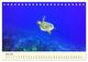 Thumbnail-12