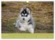 Thumbnail-11
